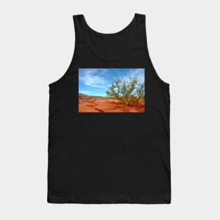 Argentine - Quebrada de las Conchas Tank Top